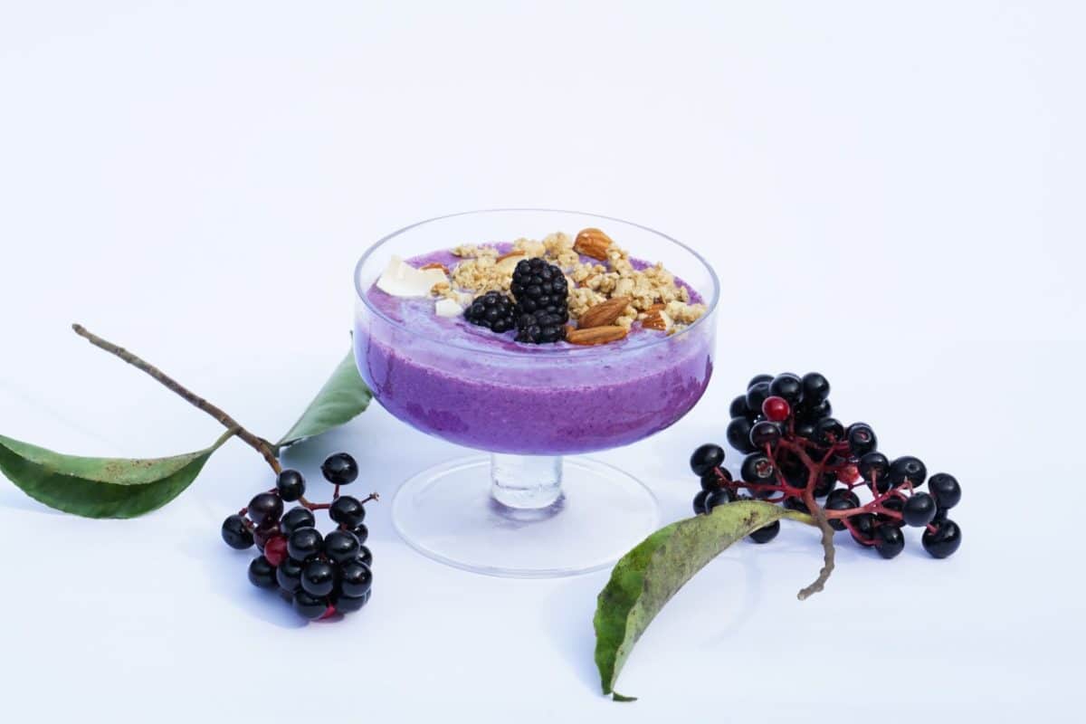 Blueberry Frozen Yogurt
