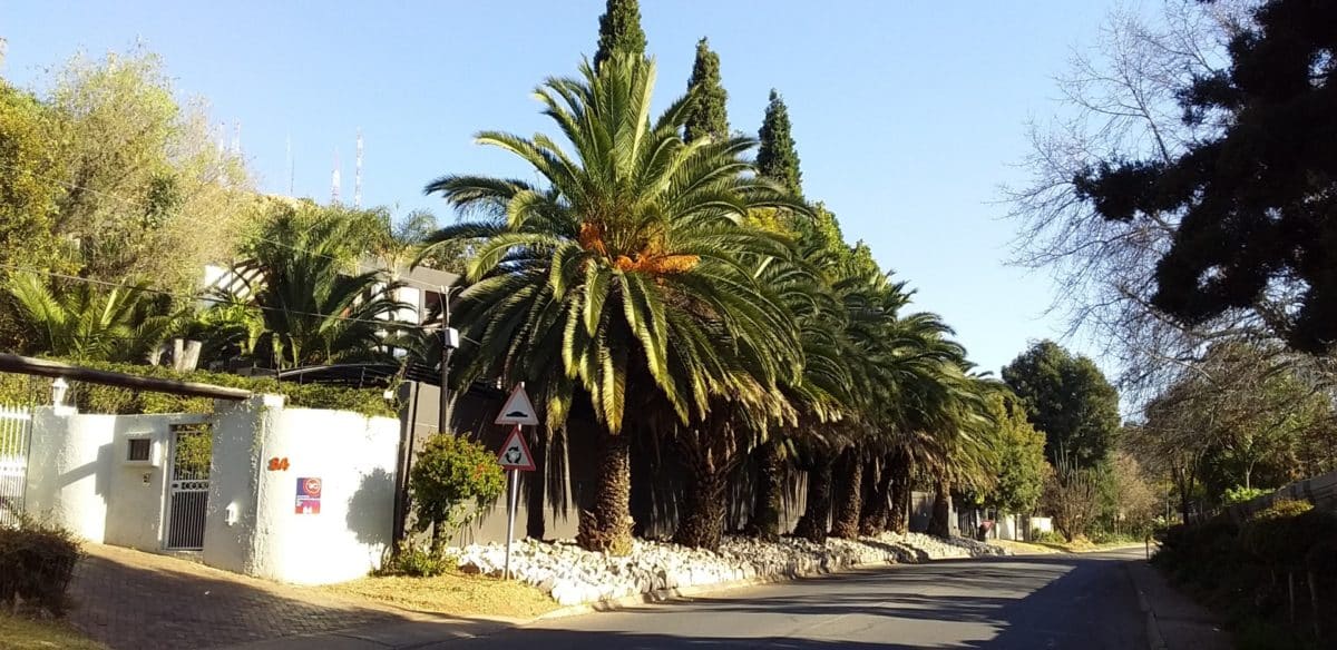 A Walk in Bedfordview during Lockdown - 3 July 2021
