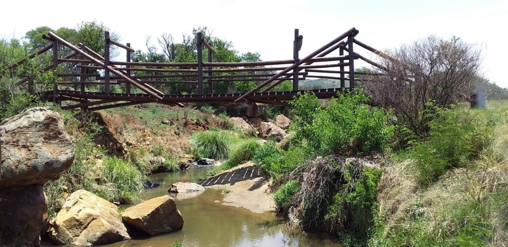 Photos of the Sunday Hike and Walk Klipriviersberg Johannesburg – 7 November 2021