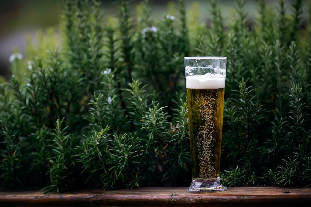 Beer Drinking - How Healthy