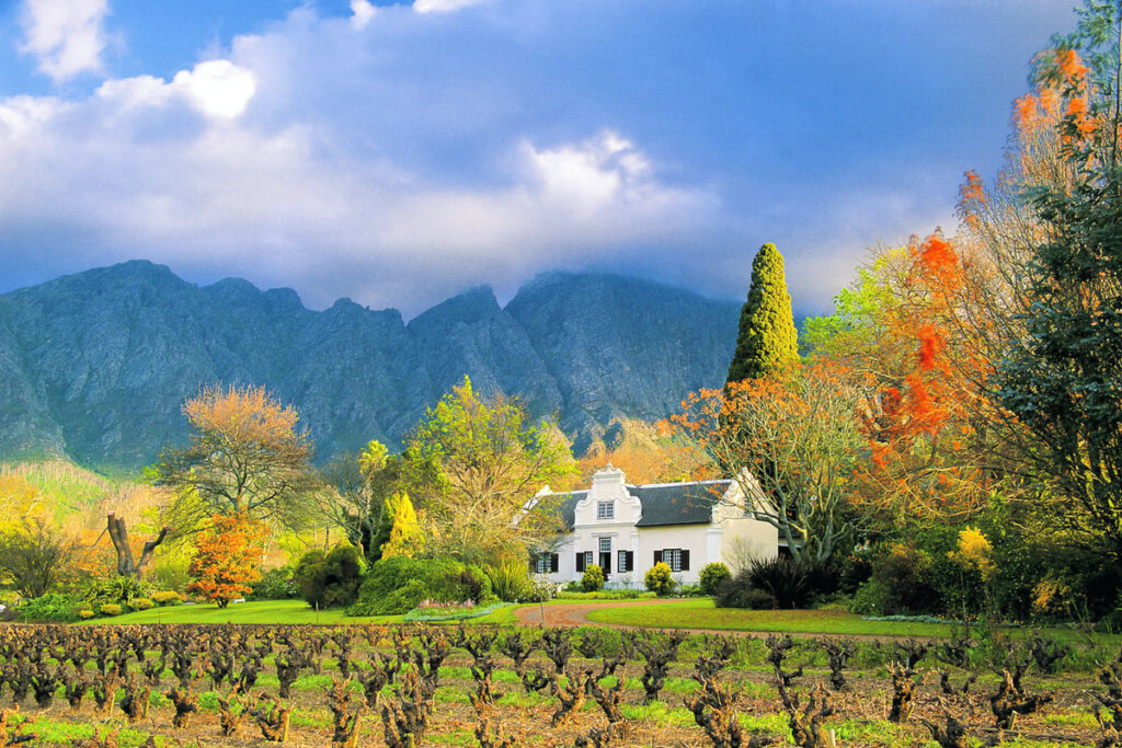 International Cabernet Sauvignon Day