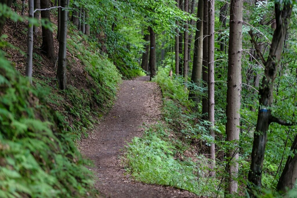 National Take A Hike Day