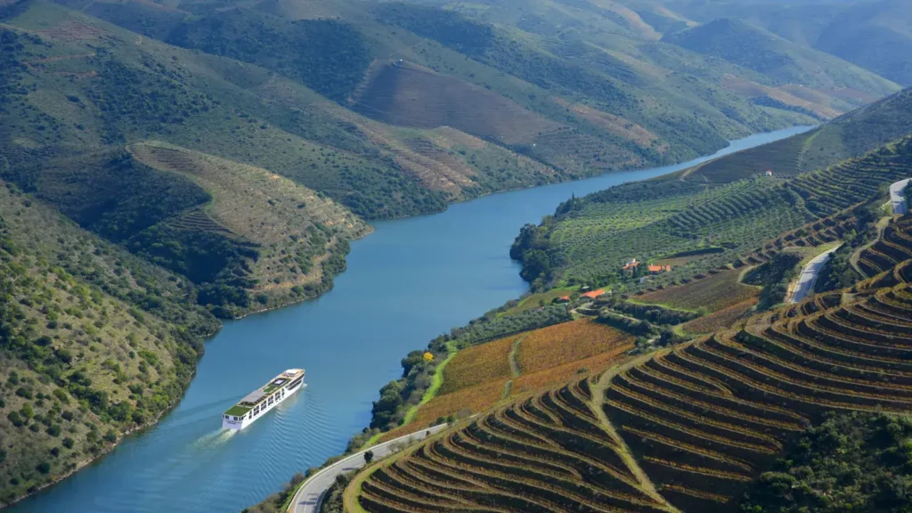 Wine and Nature Lover Douro Valley Portugal - European Wine Capital 2023