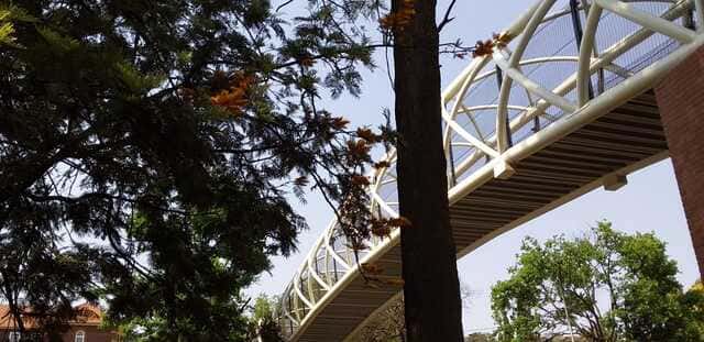 Photos - The Bedfordview Kensington Heritage Walk - 2023 Sept 24