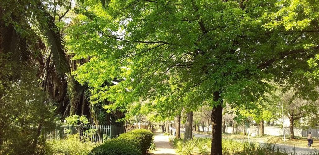The Green of Spring - Photos