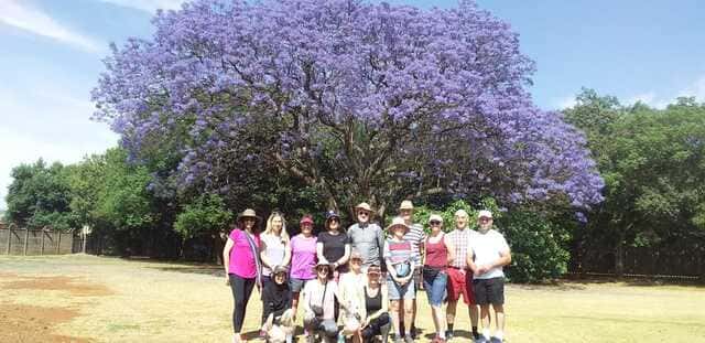 Jacaranda Walk Bedfordview - 22 Oct 2023