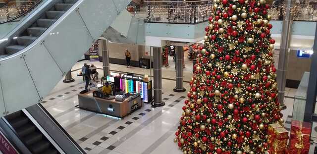 Christmas Lights and Johannesburg Delights