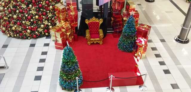 Christmas Lights and Johannesburg Delights