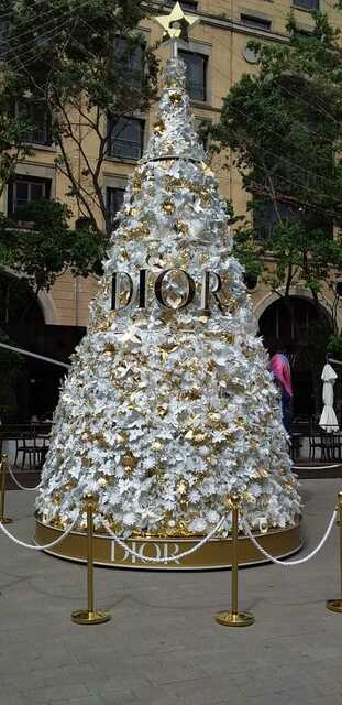 Christmas Lights and Johannesburg Delights