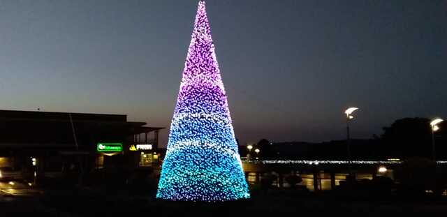 Christmas Lights and Johannesburg Delights
