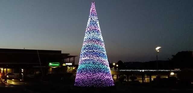 Christmas Lights and Johannesburg Delights
