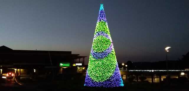 Christmas Lights and Johannesburg Delights