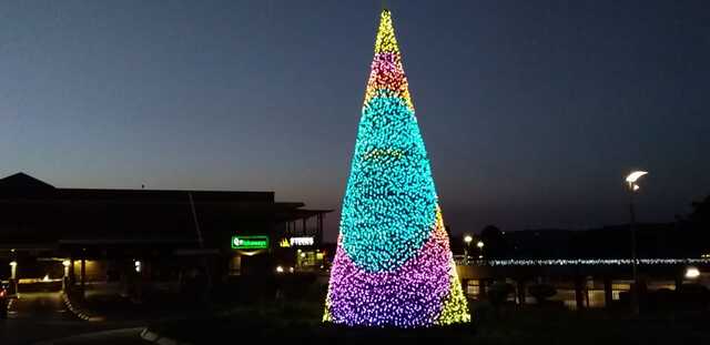 Christmas Lights and Johannesburg Delights