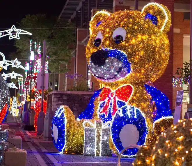 Christmas Lights and Johannesburg Delights