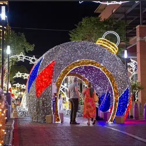 Christmas Lights and Johannesburg Delights