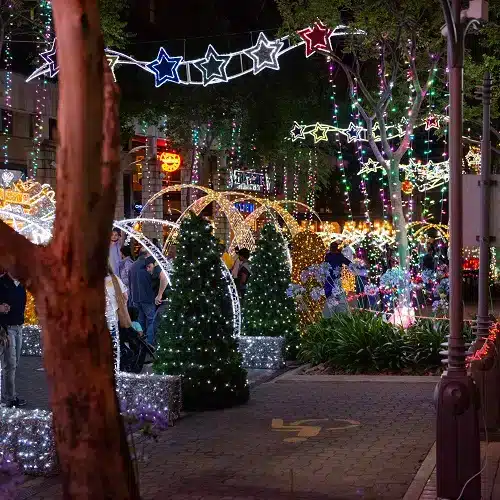 Christmas Lights and Johannesburg Delights