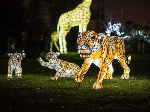 Christmas Lights and Johannesburg Delights