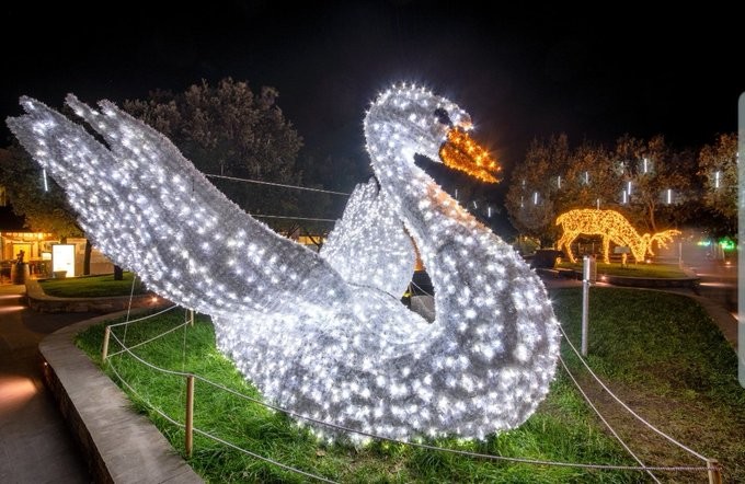 Christmas Lights and Johannesburg Delights