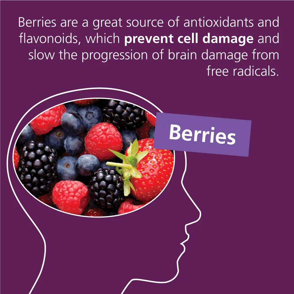 Slow Brain Aging and Help Prevent Dementia