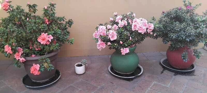 Spring is in the air - 2025