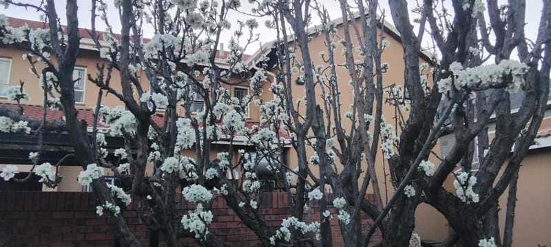 Spring is in the air - 2025