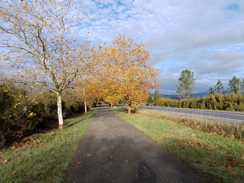 Lorne's Camino Sarria to Santiago