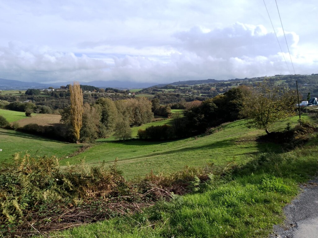 Lorne's Camino Sarria to Santiago