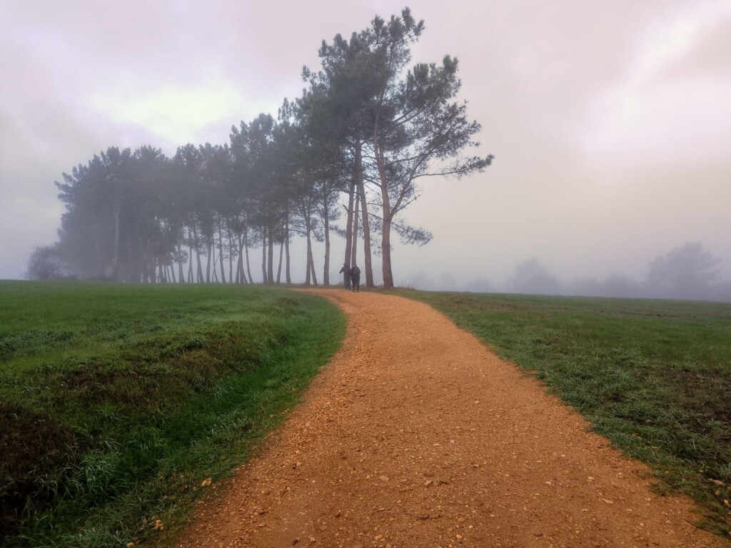 Lorne's Camino Sarria to Santiago