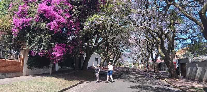 Photos - The Jacaranda Kensington Johannesburg Walk 2025