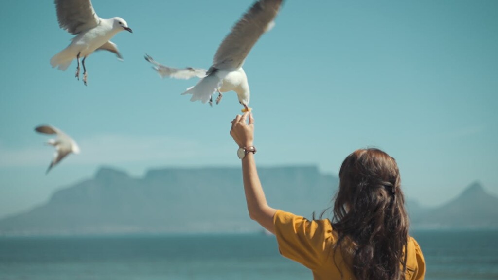 Cape Town - the Best City in the World 2025