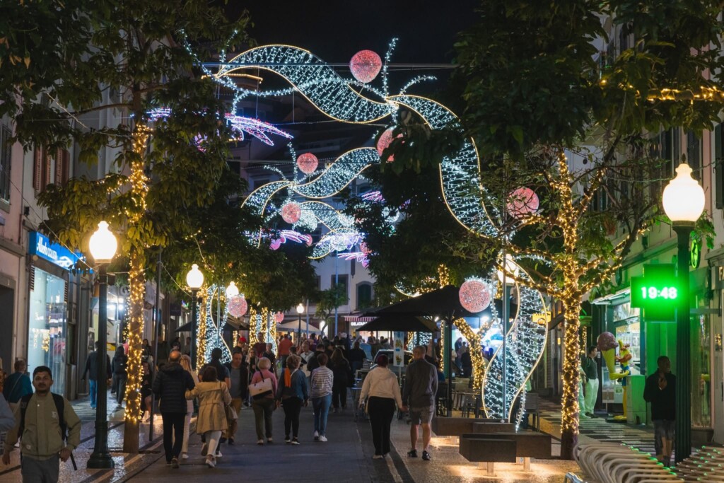 Christmas Lights and Madeira Delights