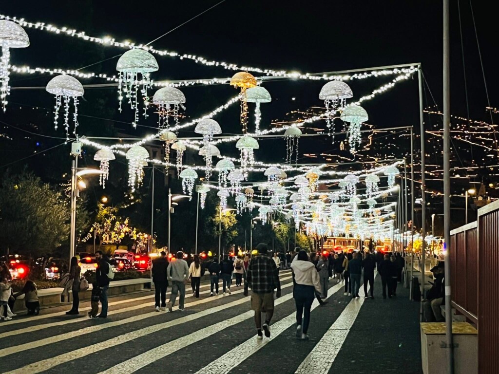 Christmas Lights and Madeira Delights