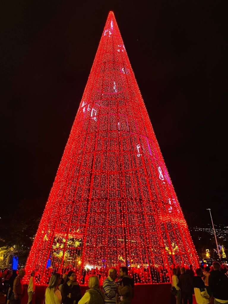 Christmas Lights and Madeira Delights