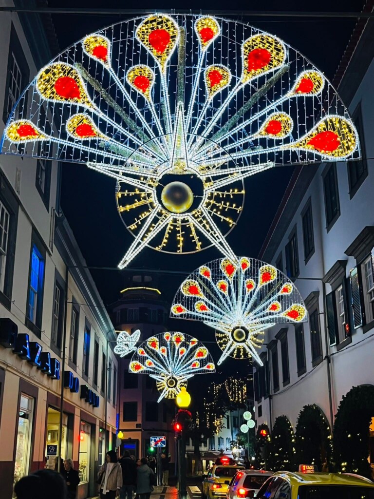 Christmas Lights and Madeira Delights