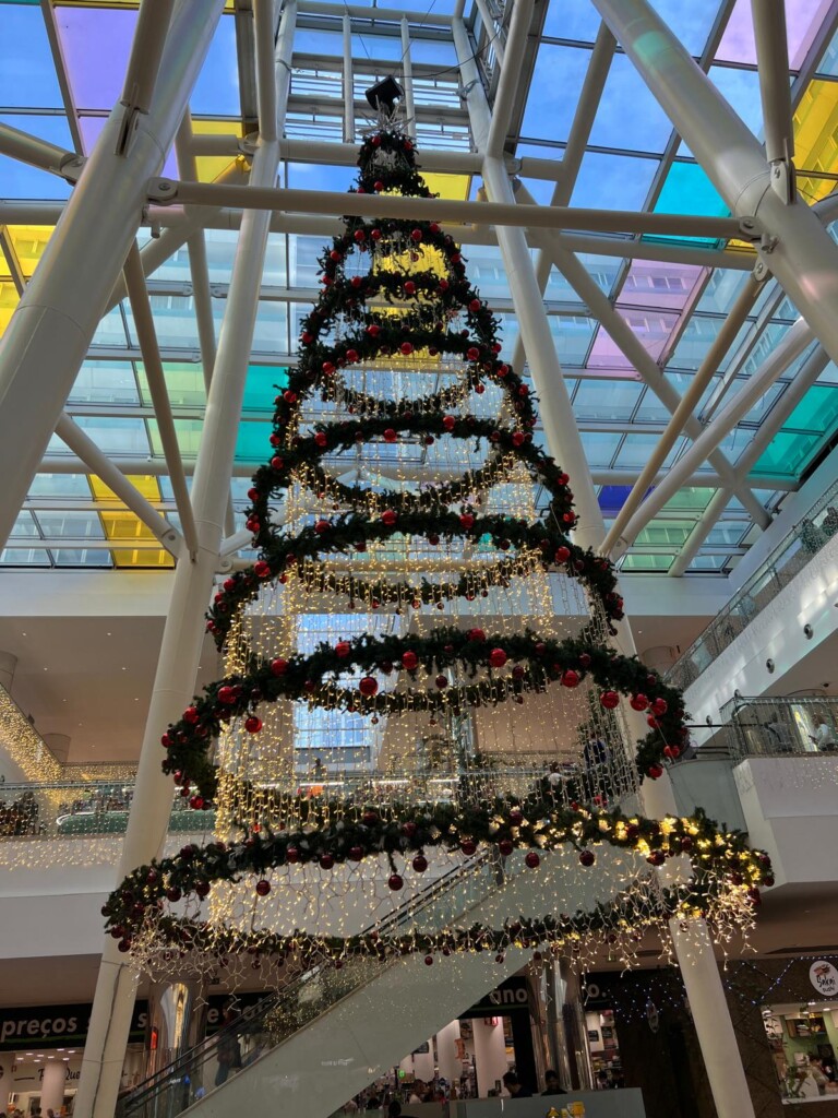 Christmas Lights and Madeira Delights