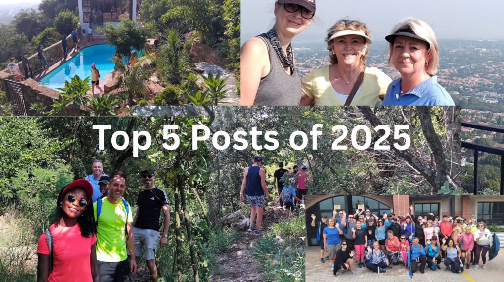 Top 5 Posts of 2025