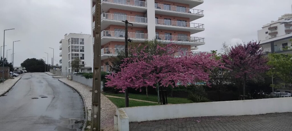 Walking in Portimão - Riverside Promenade, Old Town & Hidden Gems