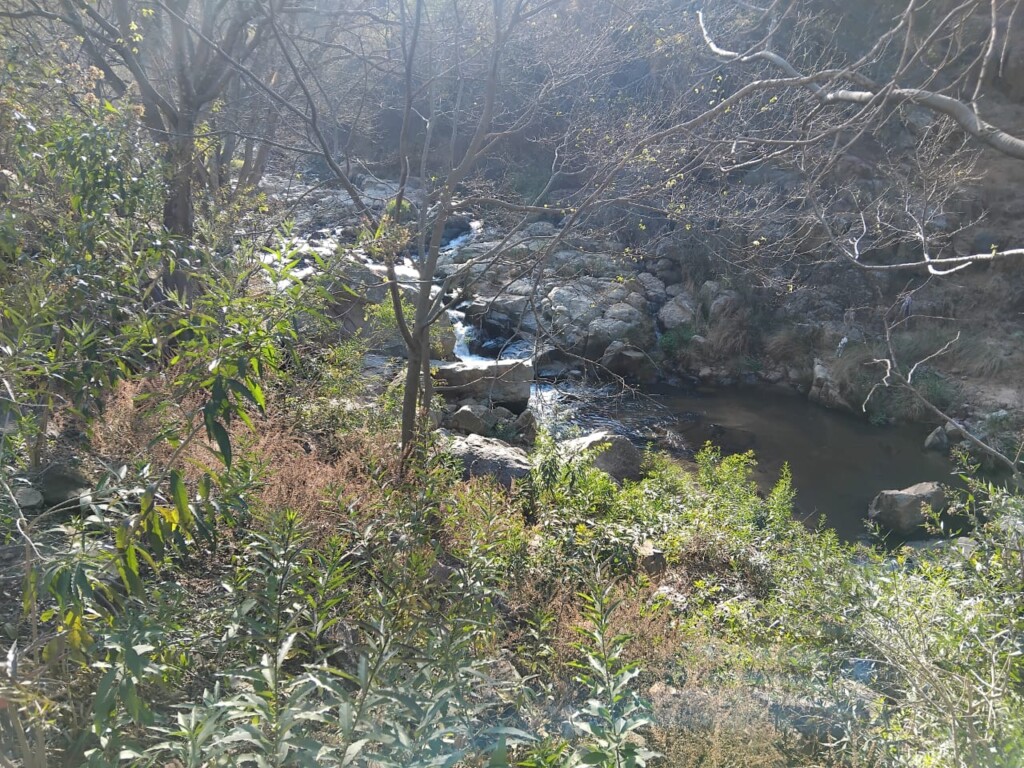 The Klip River flowing through indigenous vegetation and rocky surroundings in Klipriviersberg Nature Reserve.