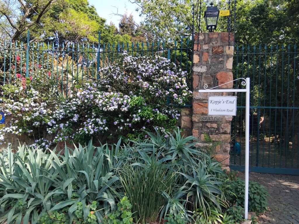Kopje's End in Westcliff surrounded by beautiful Spring flowers and plants