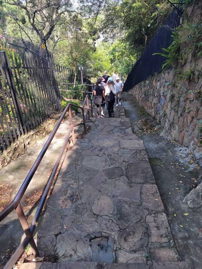 Scenic stone stairs on the Westcliff Stairs Walk in Johannesburg