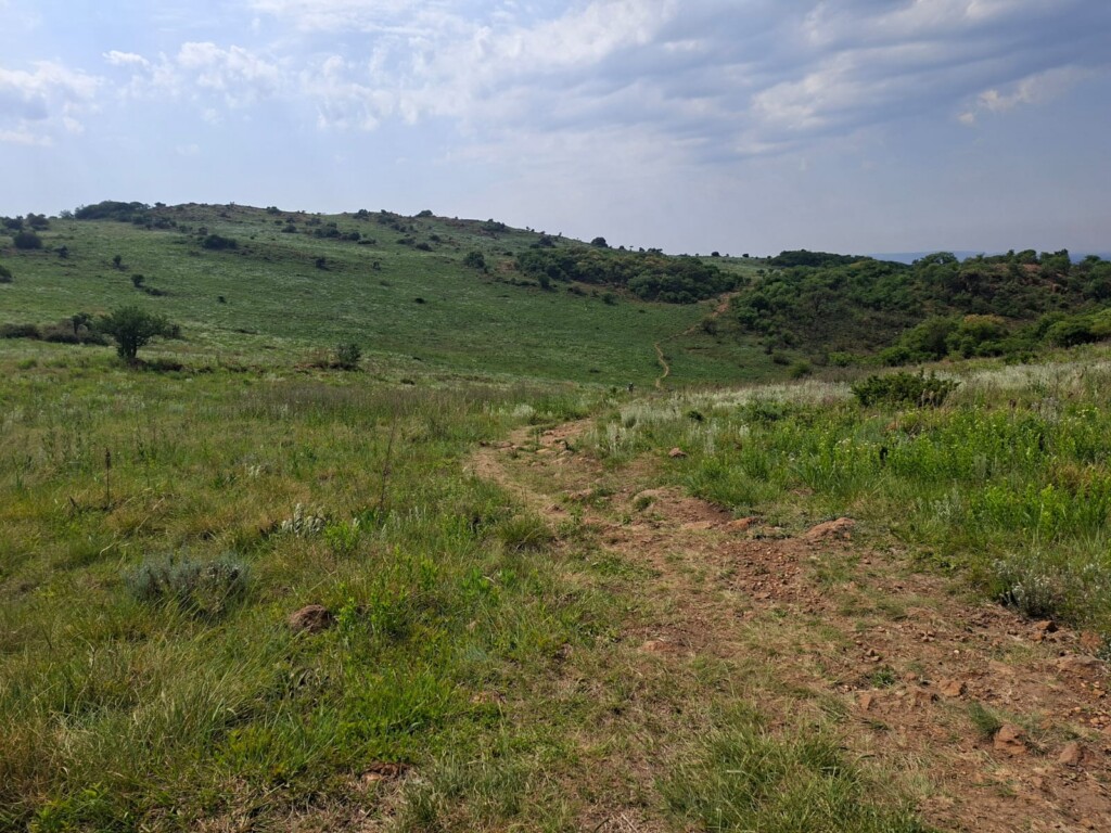 Scenic hiking trail through the grassland at Klipriviersberg Nature Reserve